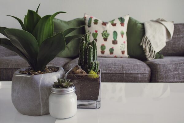 Flowers on table